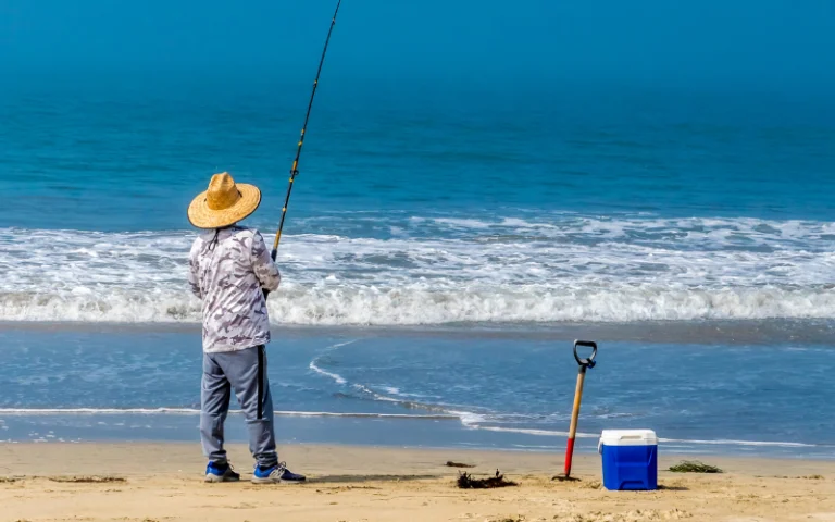 Beach fishing for beginners